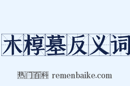 木椁墓反义词是什么意思的图片